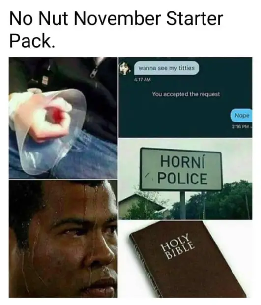 25 Best No Nut November Memes To Mark NNN In 2024