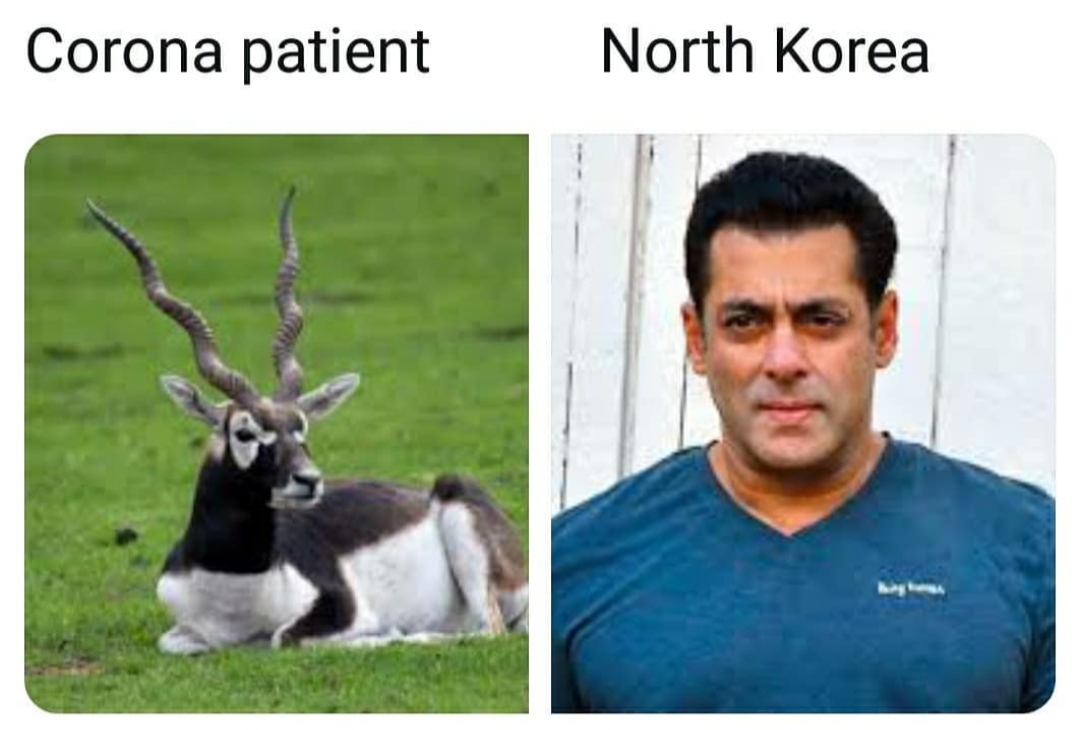 Corona patient vs North Korea
