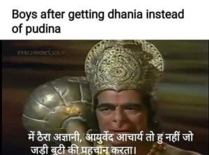 Getting Confused Between Dhania and Pudina