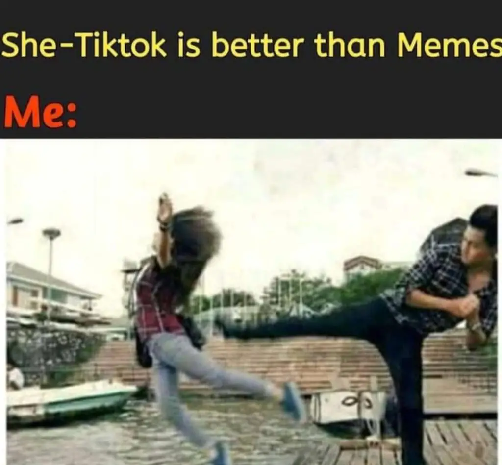 When Someone Says That Tiktok Is Better Than Memes