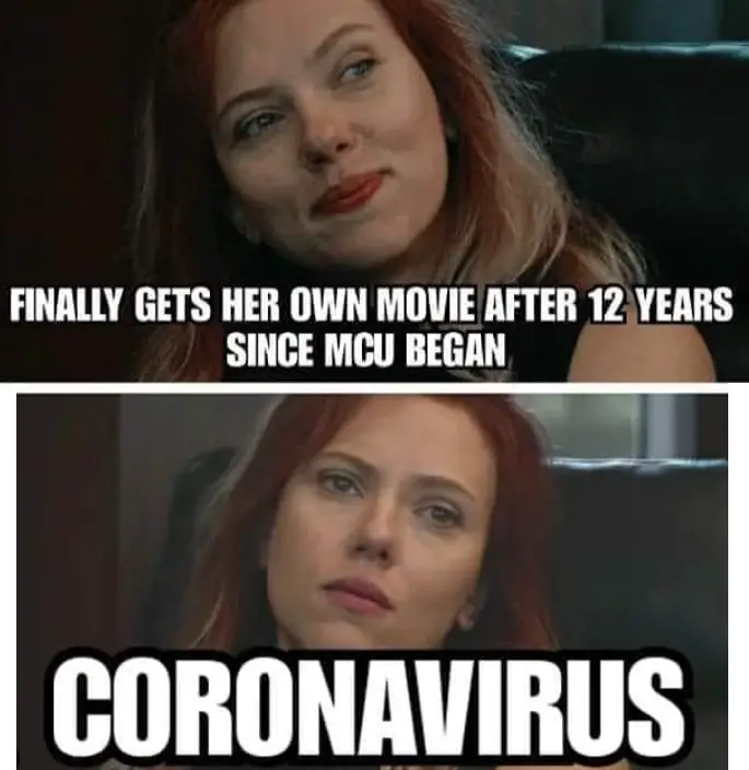 black widow coronavirus meme