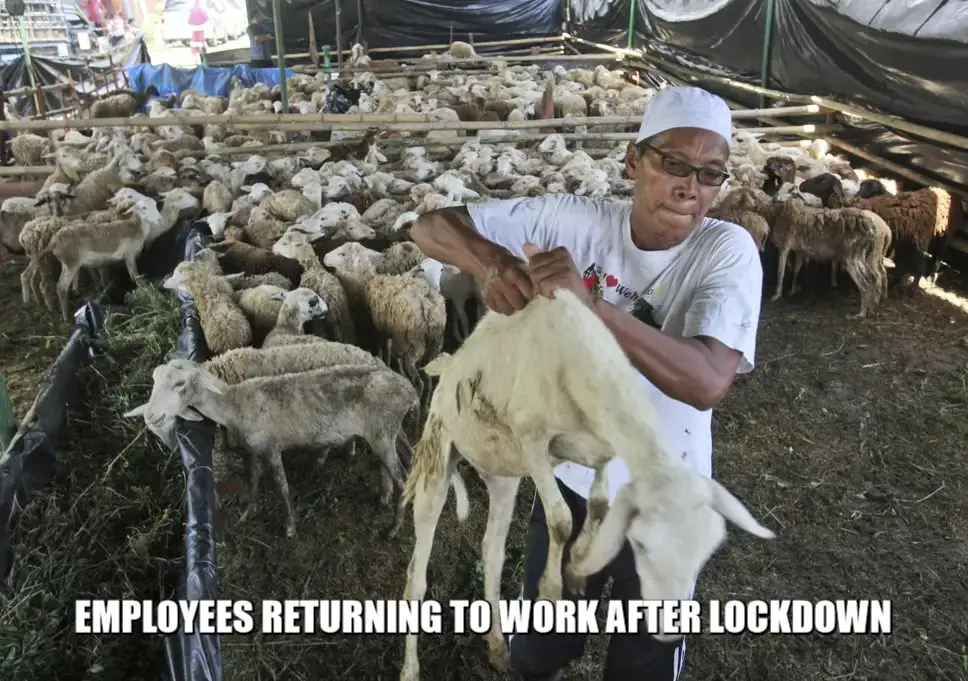 Employees returning to work in May month after the Lockdown ends