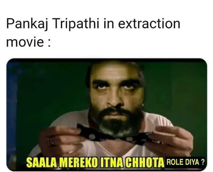 pankaj tripathi extraction role in netflix meme
