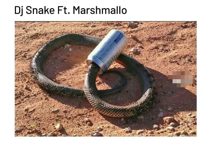 DJ Snake Ft. Marshmallo Meme