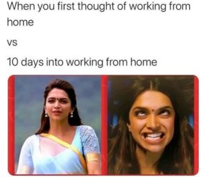 work from home expectation vs reality meme