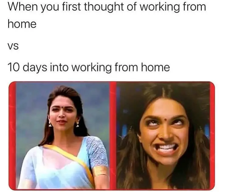 Work From Home Expectations Vs Reality Meme