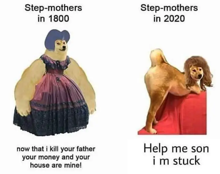 Step mothers in 2020 meme