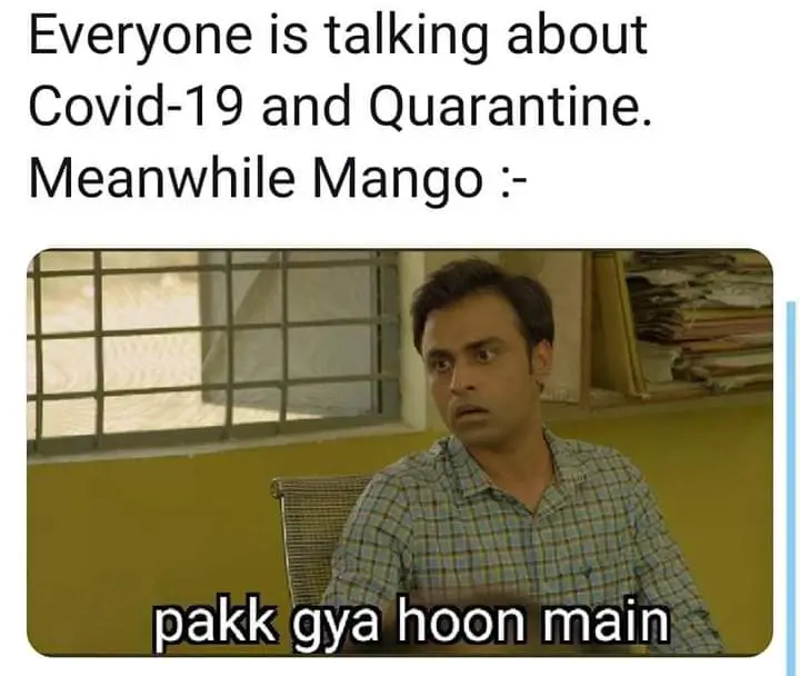 Mango meme from panchayat web series