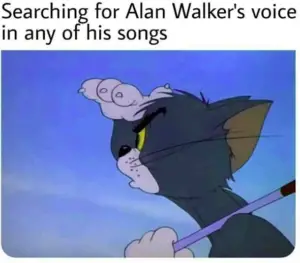 Alan Walker voice in his songs meme