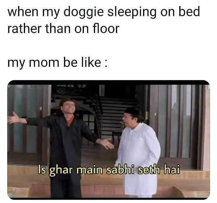 dog sleeps on bed meme