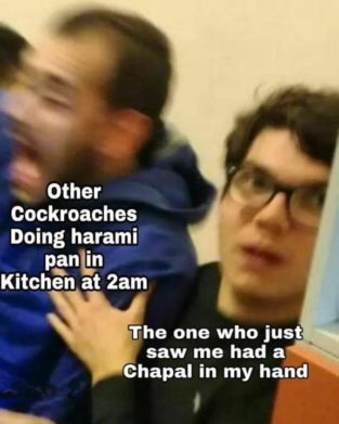 Cockroaches In Kitchen At 2 AM