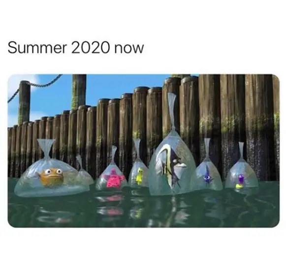 Summer of 2020 in lockdown meme