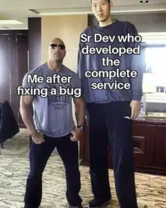 solving a bug meme