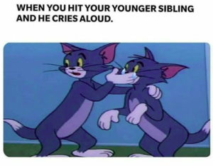 beating sibling meme