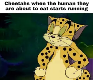 cheetah eating human meme