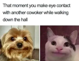 dank meme eye contact coworker