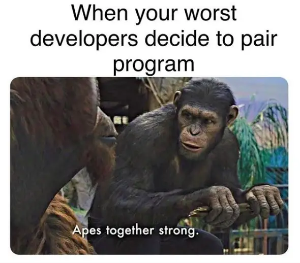 developers pair programs meme