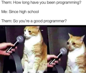 good programmer meme