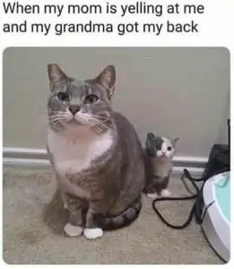 grandma saving from mom meme
