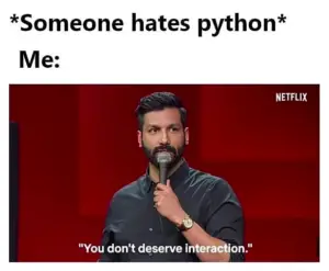 hating python meme
