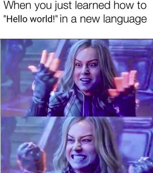 hello world in new language meme
