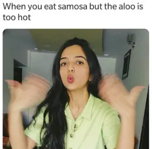 Funny Samosa Memes, Videos & GIFs | HumorNama