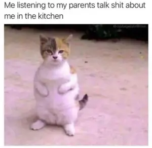 listening to parents shit about me in kitchen