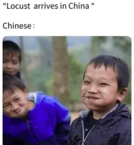 locust attack in china meme