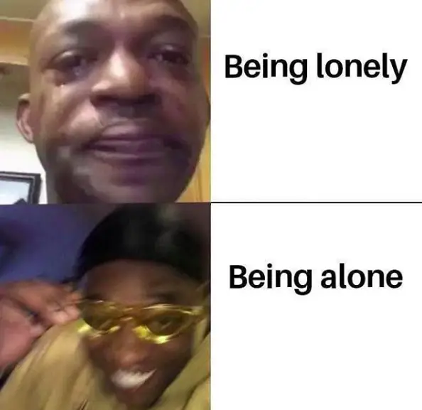 Lonely Vs Alone Meme