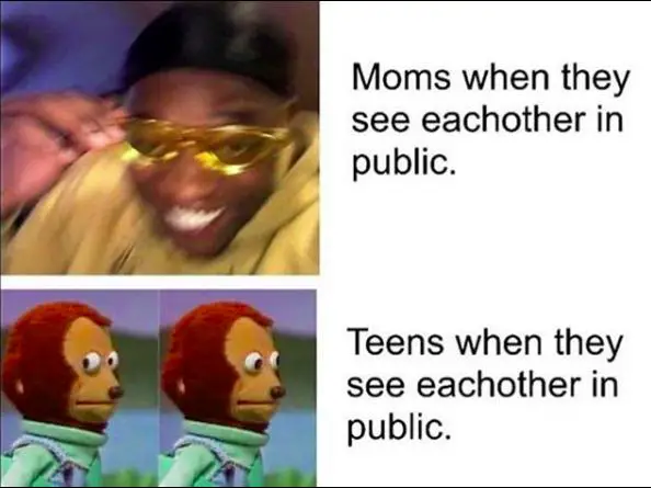moms vs sons meeting on streets meme