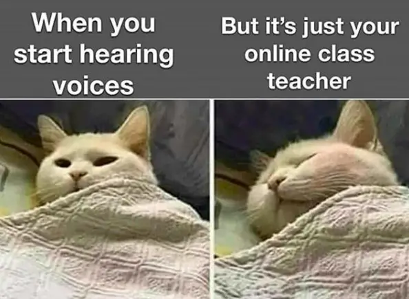 online classes teacher in morning meme