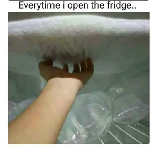 open fridge meme