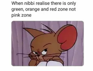 pink zone in lockdown meme