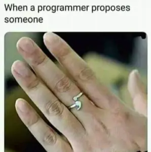 programmer proposes meme