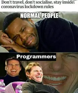 programmers during lockdown meme
