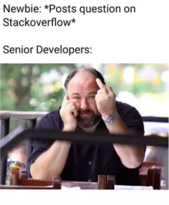 senior developers on newbies stackoverflow meme
