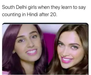 south delhi girls after learning hindi meme