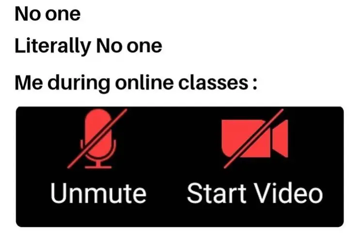 student during online class meme