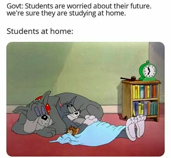students on their future in lockdown at home meme