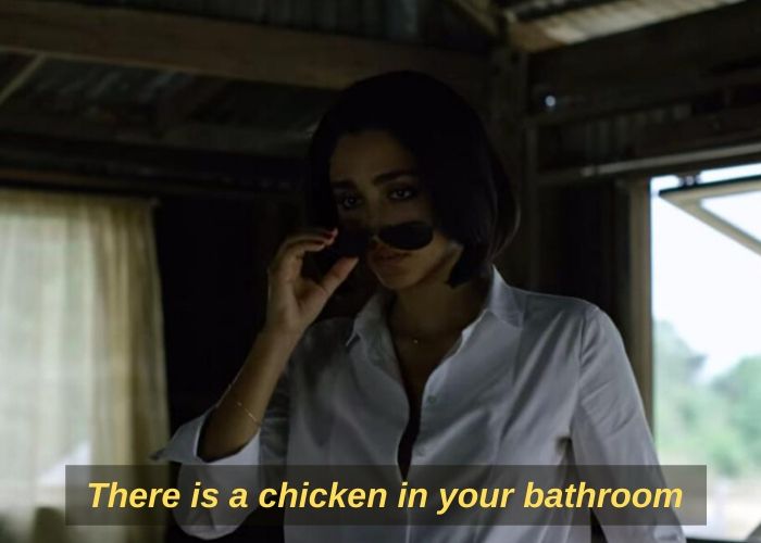 chicken in bathroom extraction meme template