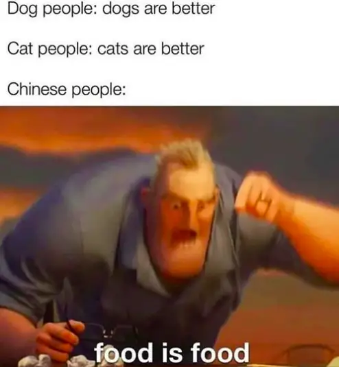 When Dogs & Cats Are Chinese Food