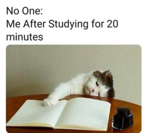 sleeping while studying meme