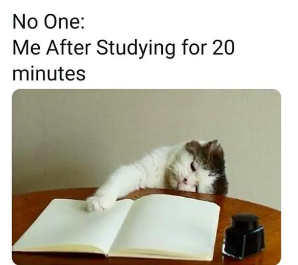 That Excessive Studying Moment