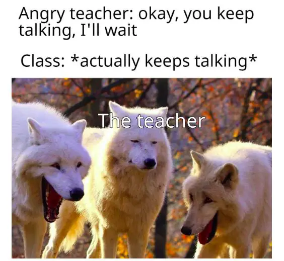teacher meme