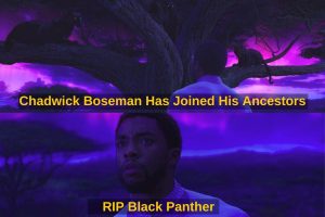 Chadwick Boseman meme on death