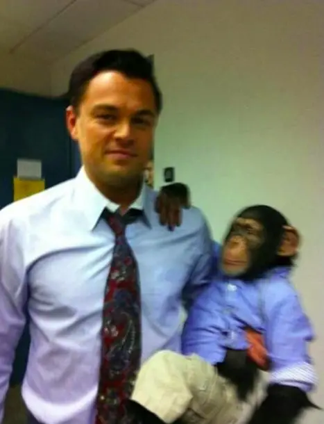 Meet My Son Monkey meme template of Leonardo DiCaprio