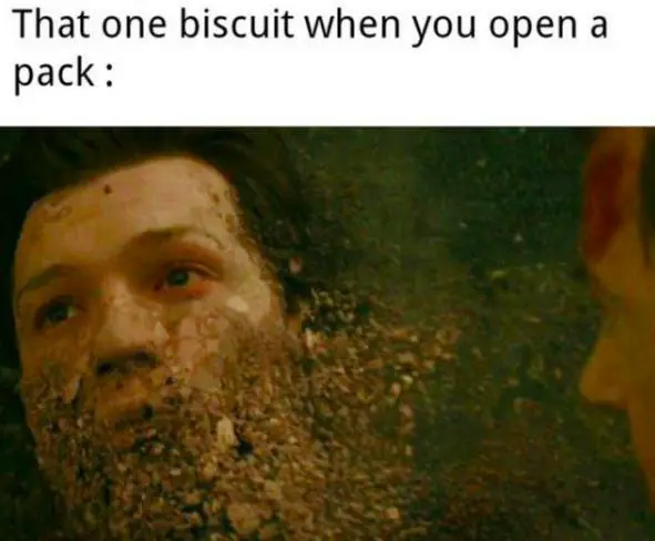 biscuit meme on spiderman avengers scene