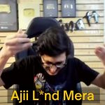 carryminati lund lele mera