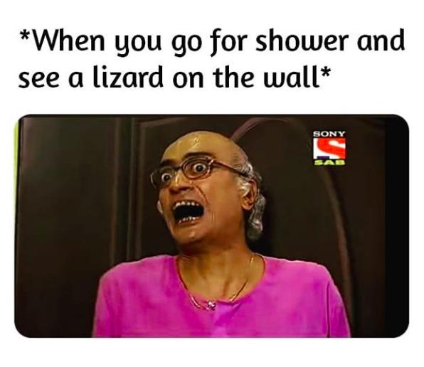 lizard meme in bathroom