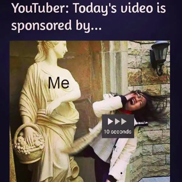 youtuber meme on sponsored video
